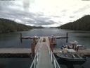 ./images/calvert/dock/20190716/dock20190716_145501.jpg