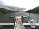 ./images/calvert/dock/20190725/dock20190725_120509.jpg
