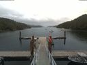 ./images/calvert/dock/20190725/dock20190725_144009.jpg