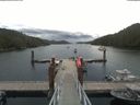 ./images/calvert/dock/20190725/dock20190725_151509.jpg
