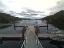 ./images/calvert/dock/20190725/dock20190725_201009.jpg