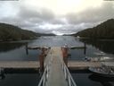 ./images/calvert/dock/20190726/dock20190726_192009.jpg