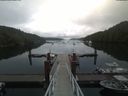 ./images/calvert/dock/20190727/dock20190727_071504.jpg