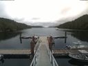./images/calvert/dock/20190727/dock20190727_105502.jpg