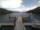 ./images/calvert/dock/20190728/dock20190728_135009.jpg