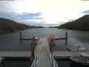 ./images/calvert/dock/20190728/dock20190728_141509.jpg