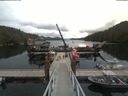 ./images/calvert/dock/20190729/dock20190729_122004.jpg