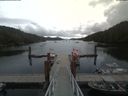 ./images/calvert/dock/20190729/dock20190729_155002.jpg