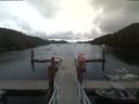 ./images/calvert/dock/20190729/dock20190729_160010.jpg