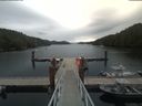 ./images/calvert/dock/20190730/dock20190730_112509.jpg
