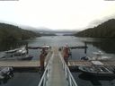 ./images/calvert/dock/20190731/dock20190731_140004.jpg