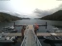./images/calvert/dock/20190801/dock20190801_130509.jpg