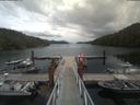 ./images/calvert/dock/20190801/dock20190801_132509.jpg