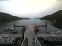 ./images/calvert/dock/20190801/dock20190801_163508.jpg