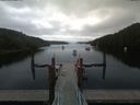 ./images/calvert/dock/20190802/dock20190802_091002.jpg