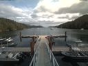 ./images/calvert/dock/20190802/dock20190802_133504.jpg