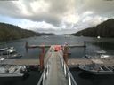 ./images/calvert/dock/20190802/dock20190802_154504.jpg