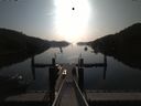 ./images/calvert/dock/20190803/dock20190803_084009.jpg