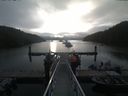 ./images/calvert/dock/20190808/dock20190808_073507.jpg