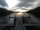 ./images/calvert/dock/20190820/dock20190820_075504.jpg