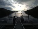 ./images/calvert/dock/20190820/dock20190820_081504.jpg