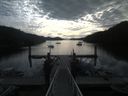 ./images/calvert/dock/20190820/dock20190820_084502.jpg