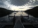 ./images/calvert/dock/20190820/dock20190820_085004.jpg