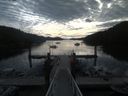./images/calvert/dock/20190820/dock20190820_085502.jpg
