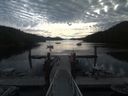 ./images/calvert/dock/20190820/dock20190820_090004.jpg