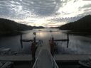 ./images/calvert/dock/20190820/dock20190820_091003.jpg