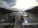 ./images/calvert/dock/20190820/dock20190820_094501.jpg
