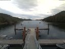 ./images/calvert/dock/20190820/dock20190820_113004.jpg