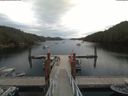 ./images/calvert/dock/20190820/dock20190820_114502.jpg