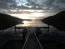 ./images/calvert/dock/20190821/dock20190821_070504.jpg