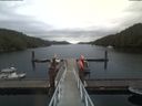 ./images/calvert/dock/20190824/dock20190824_093502.jpg