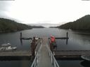 ./images/calvert/dock/20190824/dock20190824_102004.jpg