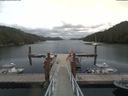 ./images/calvert/dock/20190824/dock20190824_144504.jpg