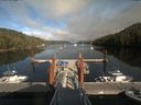 ./images/calvert/dock/20190827/dock20190827_165502.jpg