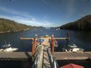 ./images/calvert/dock/20190828/dock20190828_155004.jpg