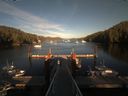 ./images/calvert/dock/20190828/dock20190828_183503.jpg
