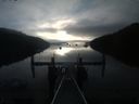 ./images/calvert/dock/20190829/dock20190829_073003.jpg