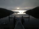 ./images/calvert/dock/20190829/dock20190829_073503.jpg