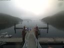 ./images/calvert/dock/20190829/dock20190829_095004.jpg