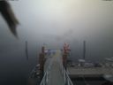 ./images/calvert/dock/20190901/dock20190901_192002.jpg