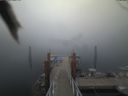 ./images/calvert/dock/20190901/dock20190901_195002.jpg