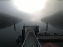 ./images/calvert/dock/20190905/dock20190905_085004.jpg