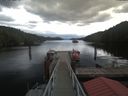 ./images/calvert/dock/20190917/dock20190917_134503.jpg