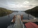 ./images/calvert/dock/20190919/dock20190919_153004.jpg