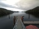 ./images/calvert/dock/20191030/dock20191030_121003.jpg