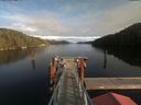 ./images/calvert/dock/20191103/dock20191103_142504.jpg